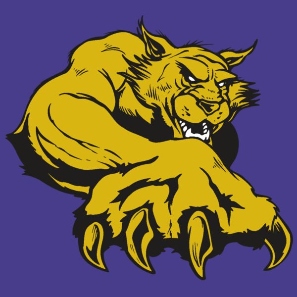 AR WILDCAT 26 RC Thumbnail