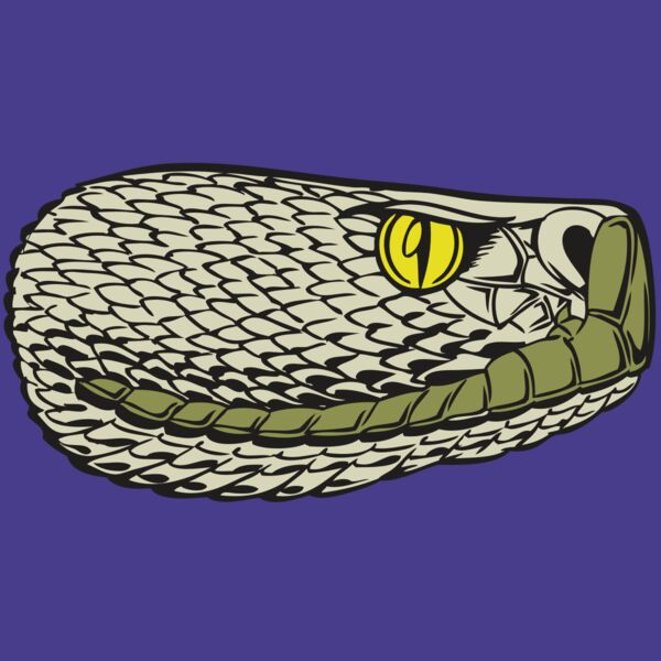 BAW SNAKE 03 RC Thumbnail