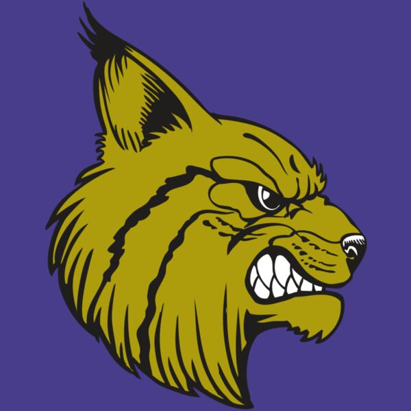 BAW BOBCAT 16 RC Thumbnail