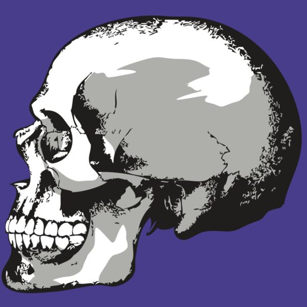 AR24 SKULL 02 RQC Thumbnail