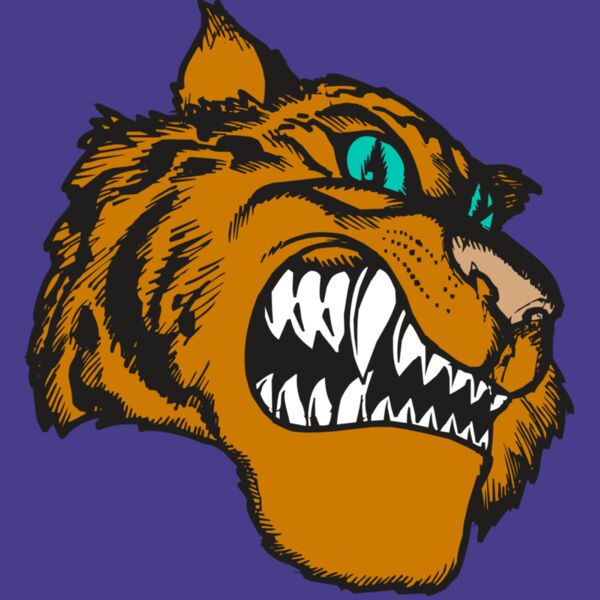 BAW TIGER 11 RC Thumbnail