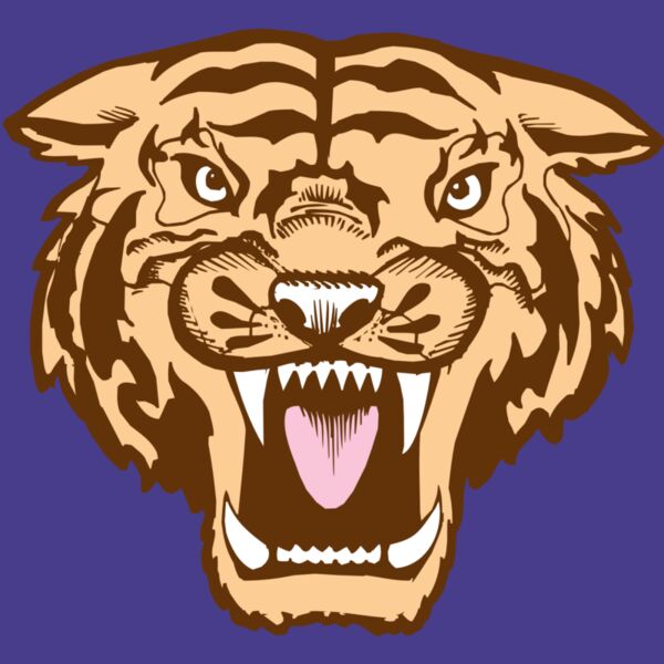 BAW TIGER 05 RC Thumbnail