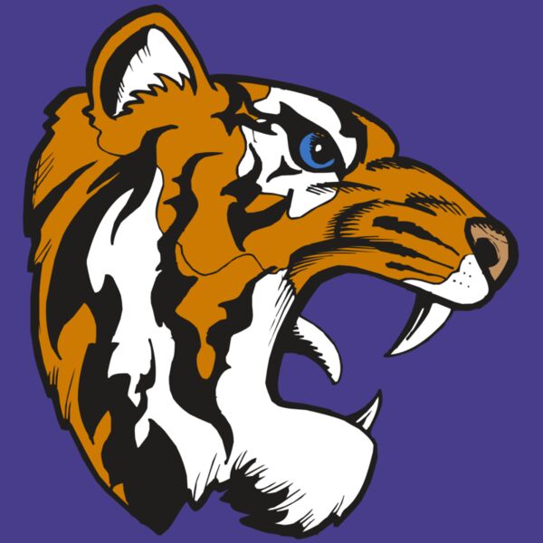 BAW TIGER 08 RC Thumbnail