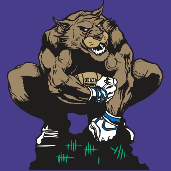 AR WILDCAT 34 RC Thumbnail