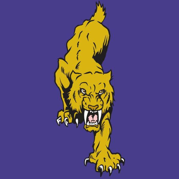 AR30 SABER 08 RQC Thumbnail