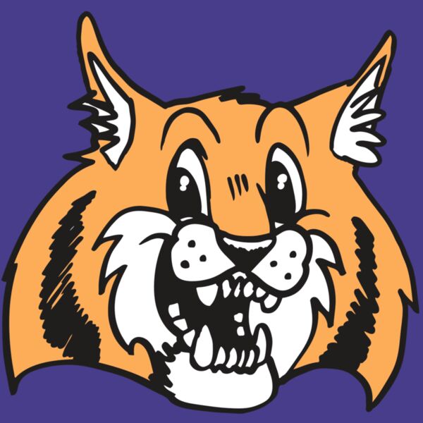 AR WILDCAT 13 RC Thumbnail