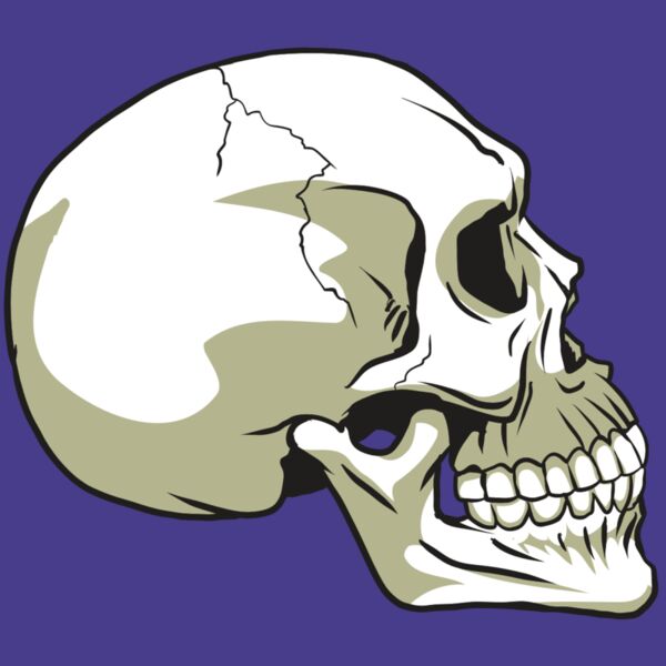 AR24 SKULL 12 RQC Thumbnail