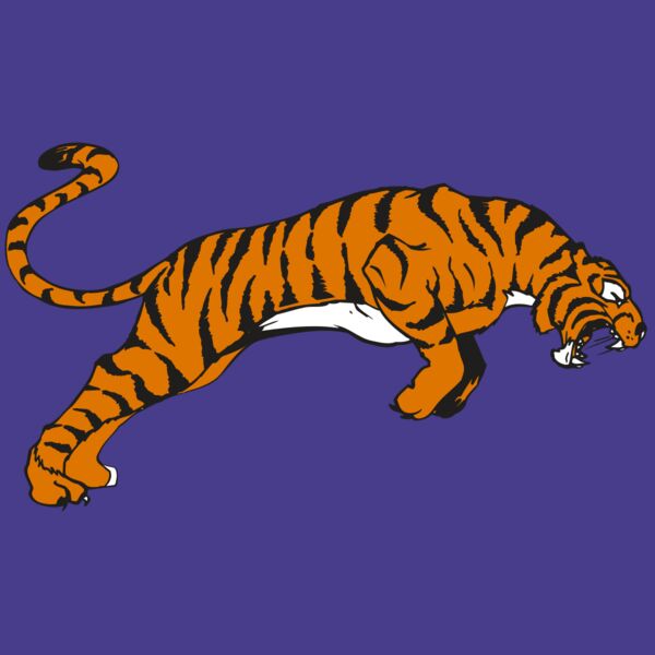 AR TIGER 79 RC Thumbnail