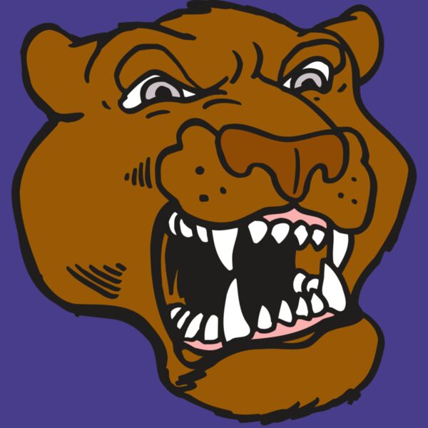 AR5 COUGAR 29 RQC Thumbnail