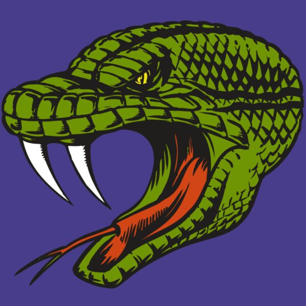 BAW SNAKE 14 RC Thumbnail