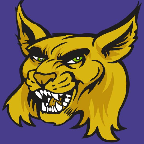 AR30 WILDCAT 03 RQC Thumbnail