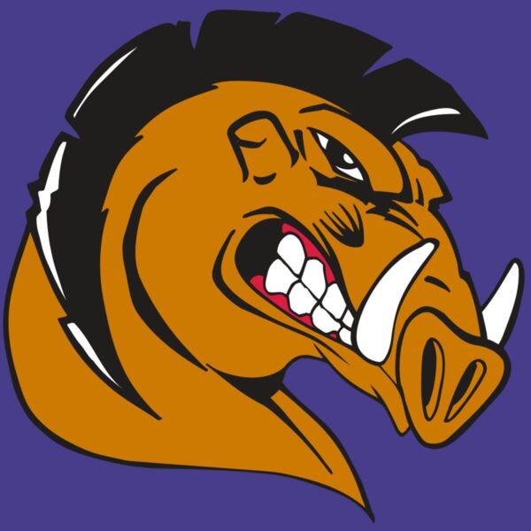 AR RAZORBACK 19 RC Thumbnail