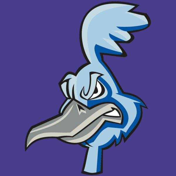 ROADRUNNER HD0501 RQC Thumbnail