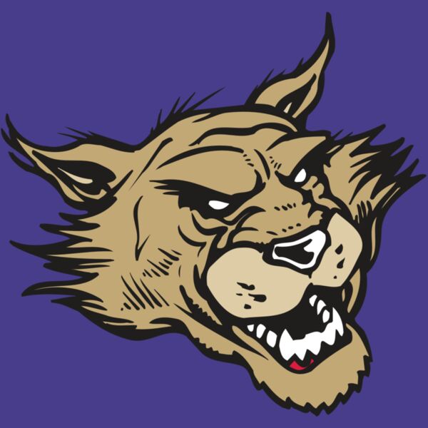 AR WILDCAT 39 RC Thumbnail