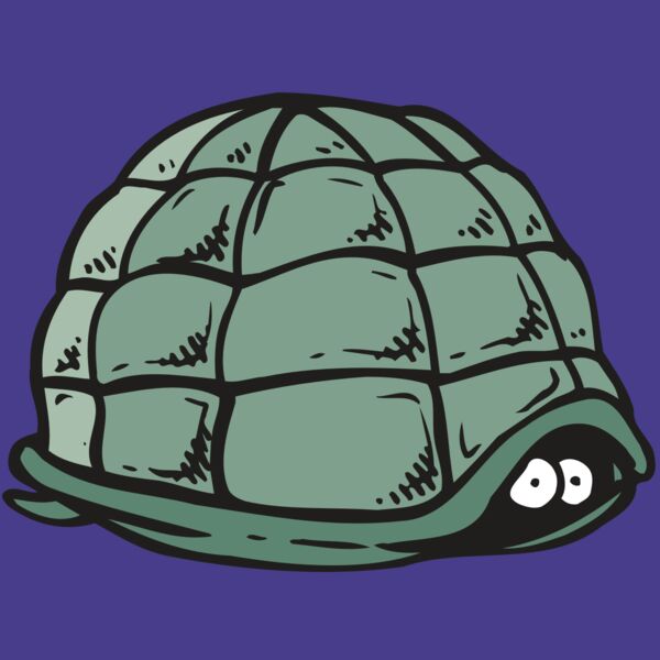 AR5 Turtle 10 RQC Thumbnail