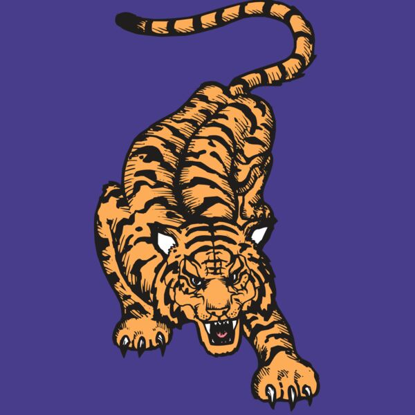 BAW TIGER 01 RC Thumbnail