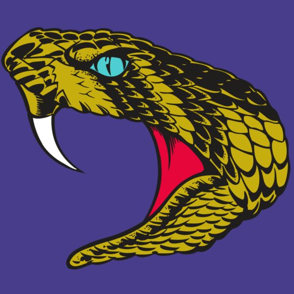 BAW SNAKE 16 RC Thumbnail