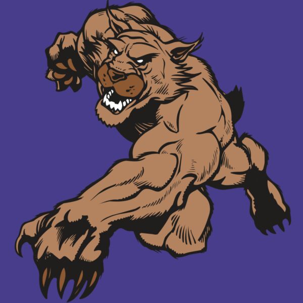 AR WILDCAT 47 RC Thumbnail