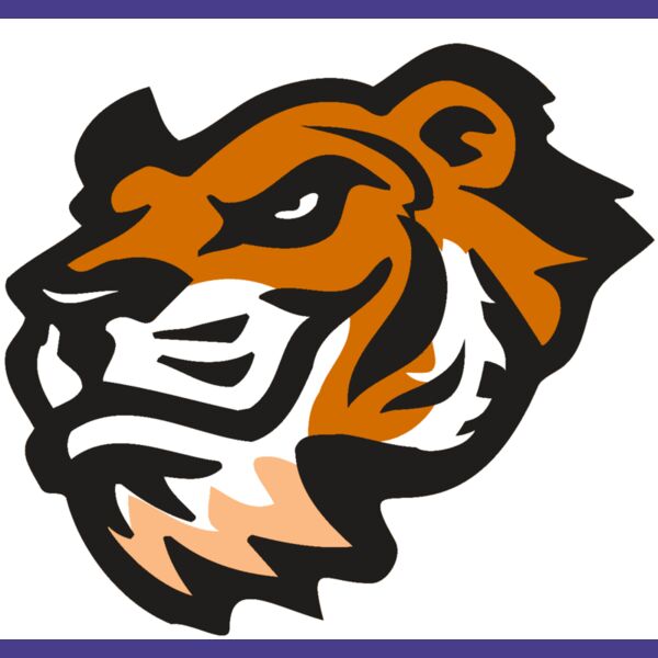 AR TIGER 21 RC Thumbnail