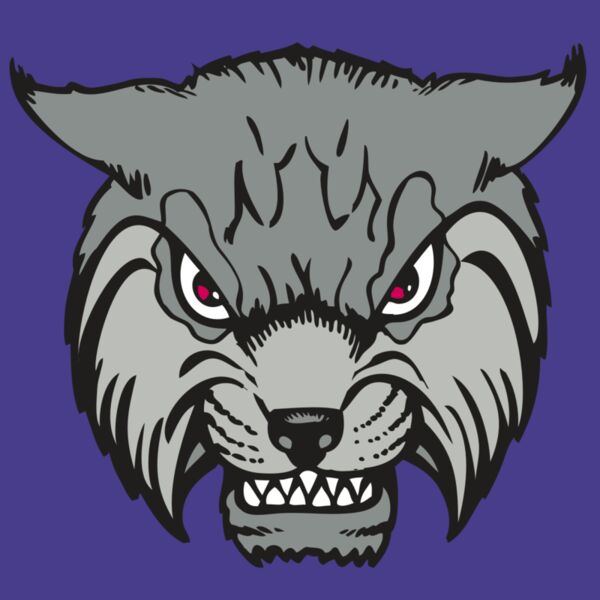 BAW BOBCAT 02 RC Thumbnail