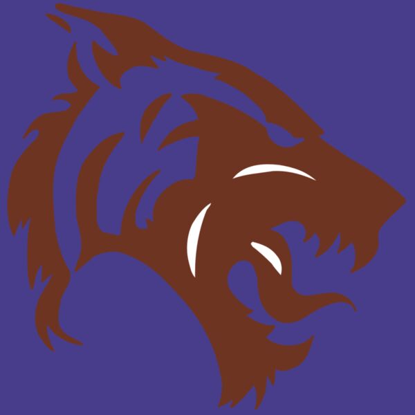 AR5 TIGER 06 RQC Thumbnail