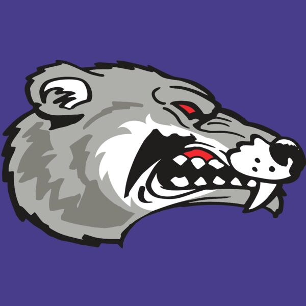 AR WOLVERINE 13 RC Thumbnail