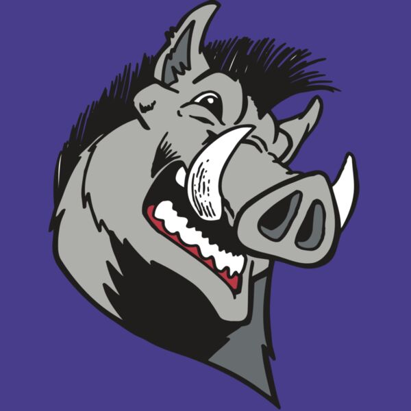 AR RAZORBACK 15 RC Thumbnail