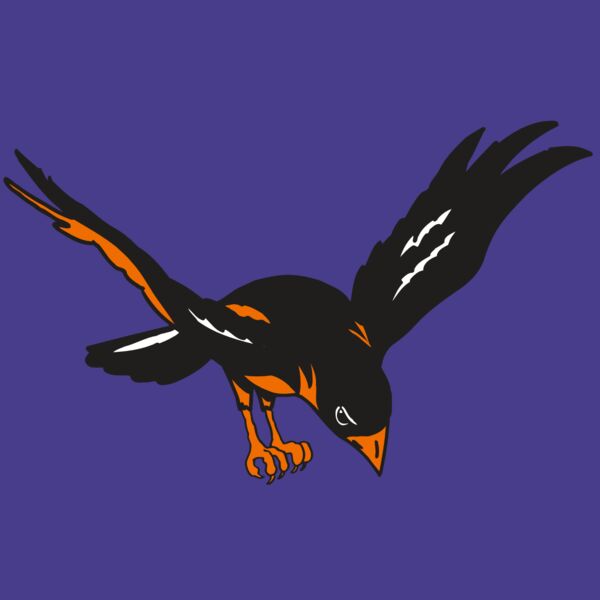 AR ORIOLE 16 RC Thumbnail