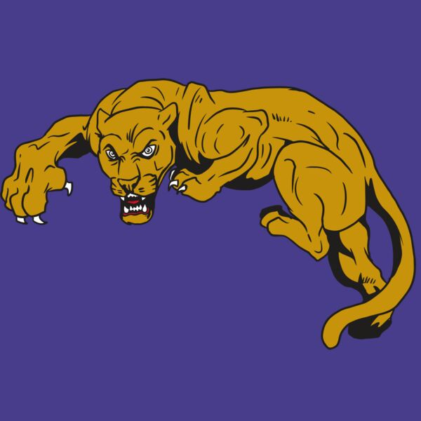 AR10 PANTHER 02 RQC Thumbnail