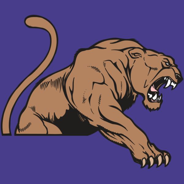 AR COUGAR 55 RC Thumbnail