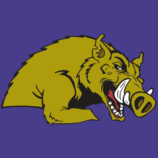 AR RAZORBACK 23 RC Thumbnail