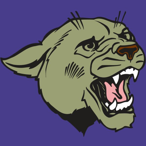 AR COUGAR 40 RC Thumbnail