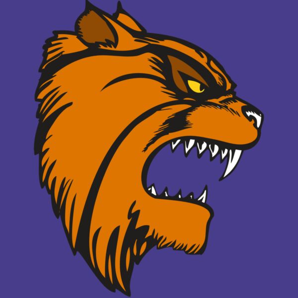 BAW WILDCAT 08 RC Thumbnail