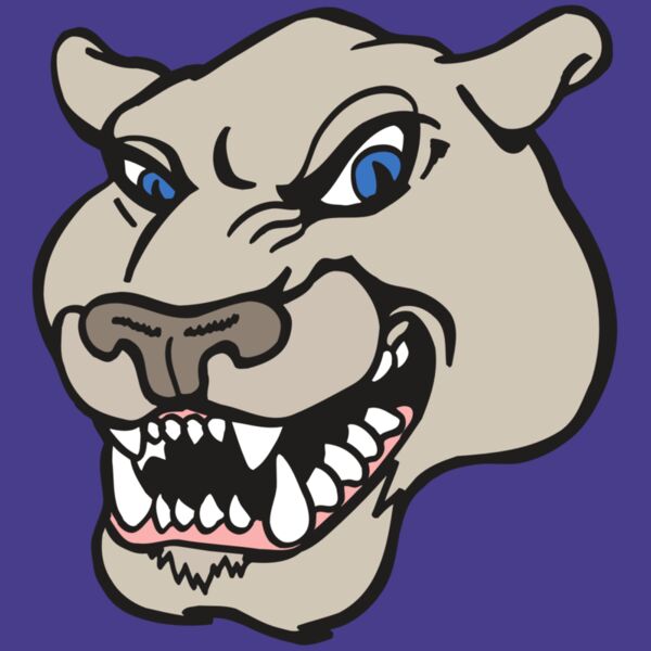 AR5 COUGAR 10 RQC Thumbnail