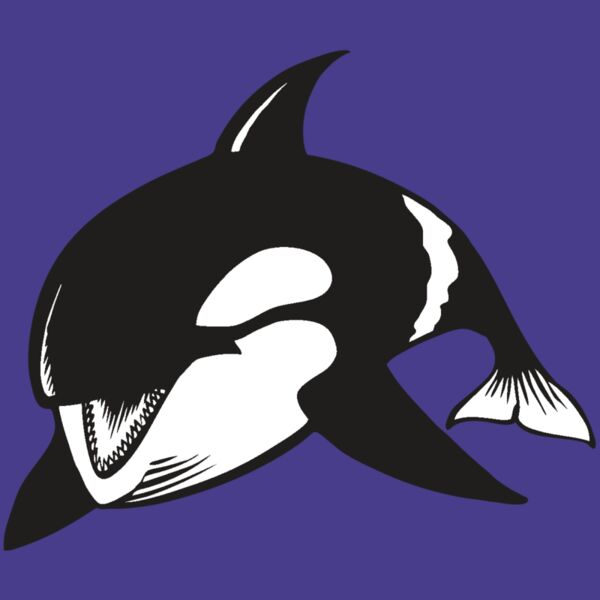 BAW KLRWHALE 04 RC Thumbnail