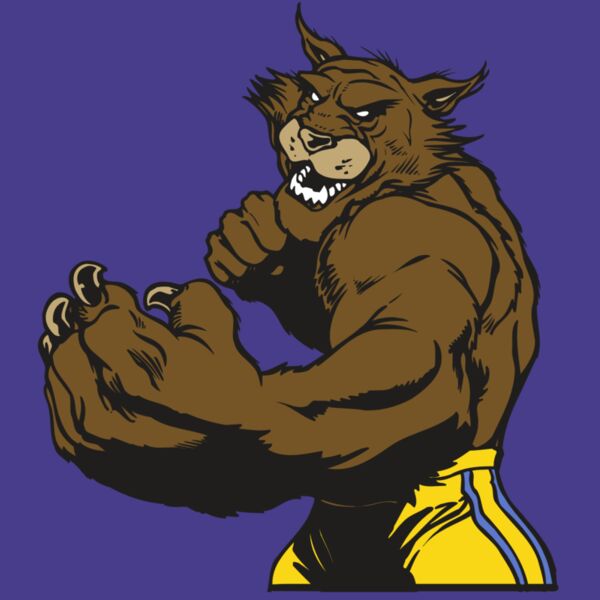 AR WILDCAT 48 RC Thumbnail