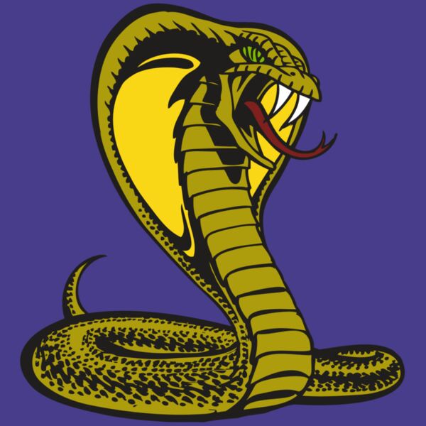 BAW SNAKE 02 RC Thumbnail