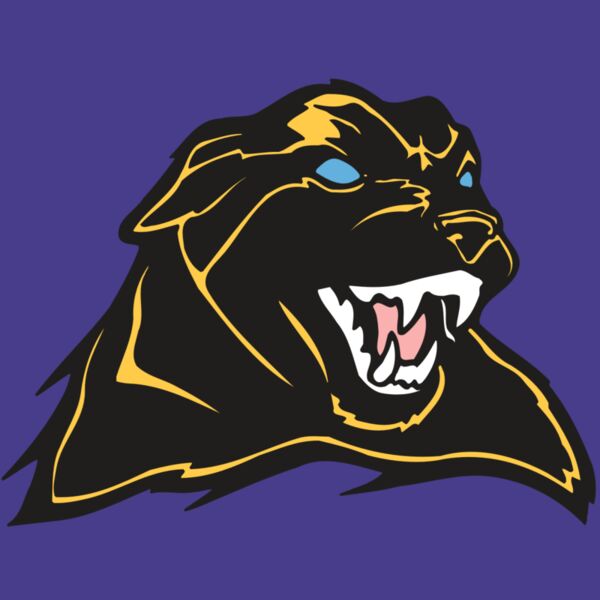 AR COUGAR 42 RC Thumbnail