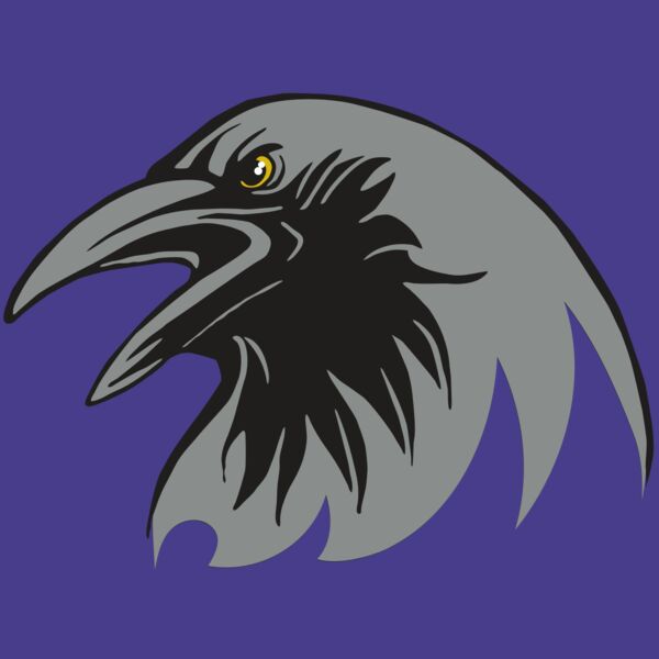 AR31 RAVEN 02 RQC Thumbnail