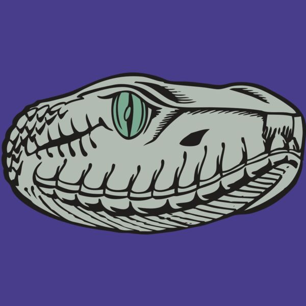 BAW SNAKE 10 RC Thumbnail