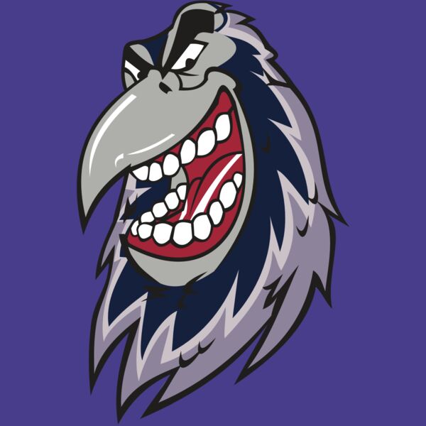 RAVEN HD0503 RQC Thumbnail