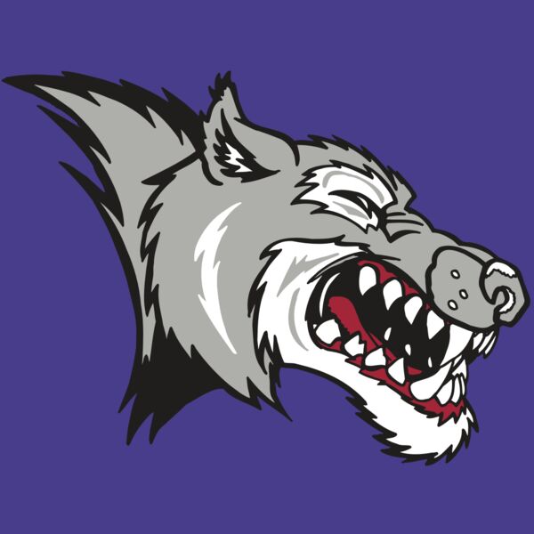 AR WOLF 15 RC Thumbnail