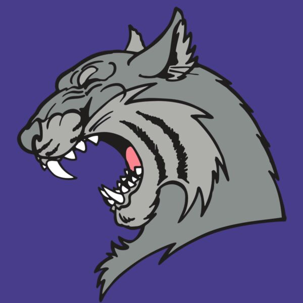 AR WILDCAT 41 RC Thumbnail