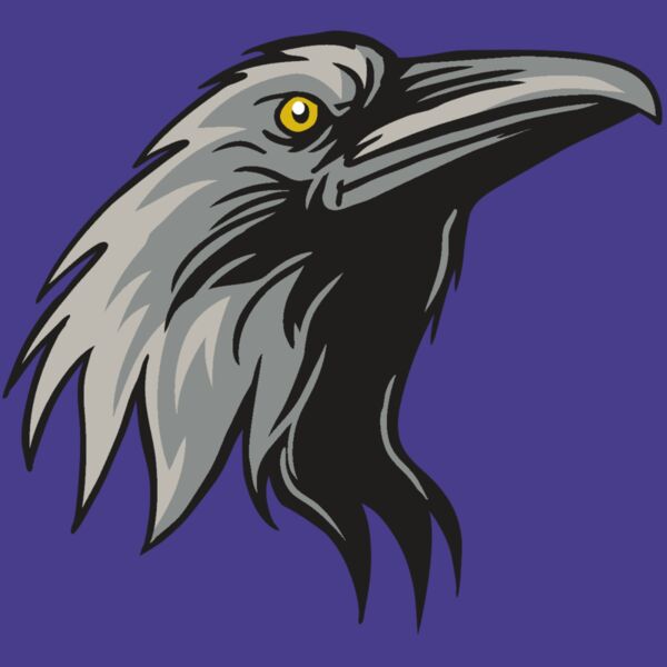 AR31 RAVEN 01 RQC Thumbnail