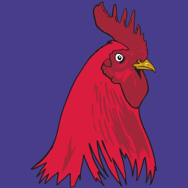 AR OTHER 19 RC Thumbnail