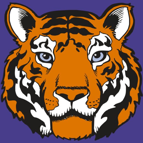 BAW TIGER 02 RC Thumbnail