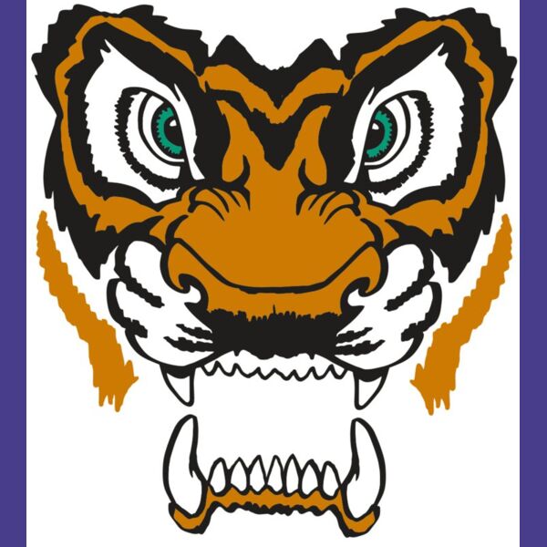 AR TIGER 11 RC Thumbnail