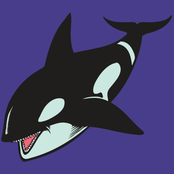 BAW KLRWHALE 02 RC Thumbnail