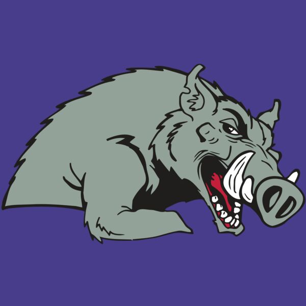 AR RAZORBACK 14 RC Thumbnail