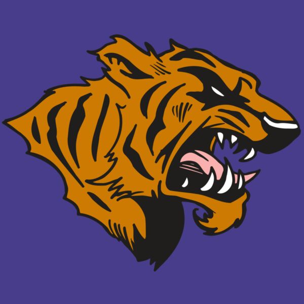 AR5 TIGER 08 RQC Thumbnail